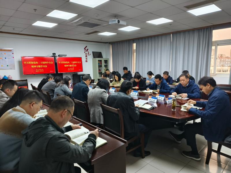 黄山市统计局党组召开会议专题学习贯彻党的二十届四中全会精神